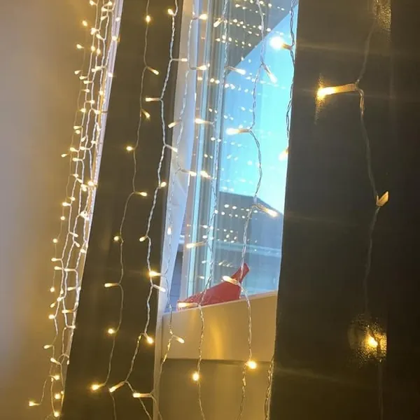 A light lit in memory of Lisa Marie Young