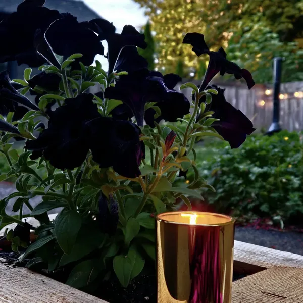 A light lit in memory of Lisa Marie Young