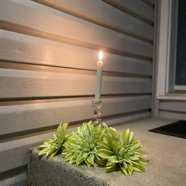 A light lit in memory of Lisa Marie Young