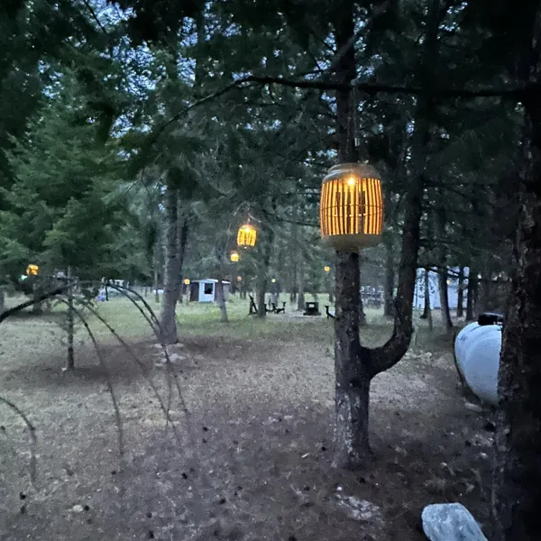 A light lit in memory of Lisa Marie Young